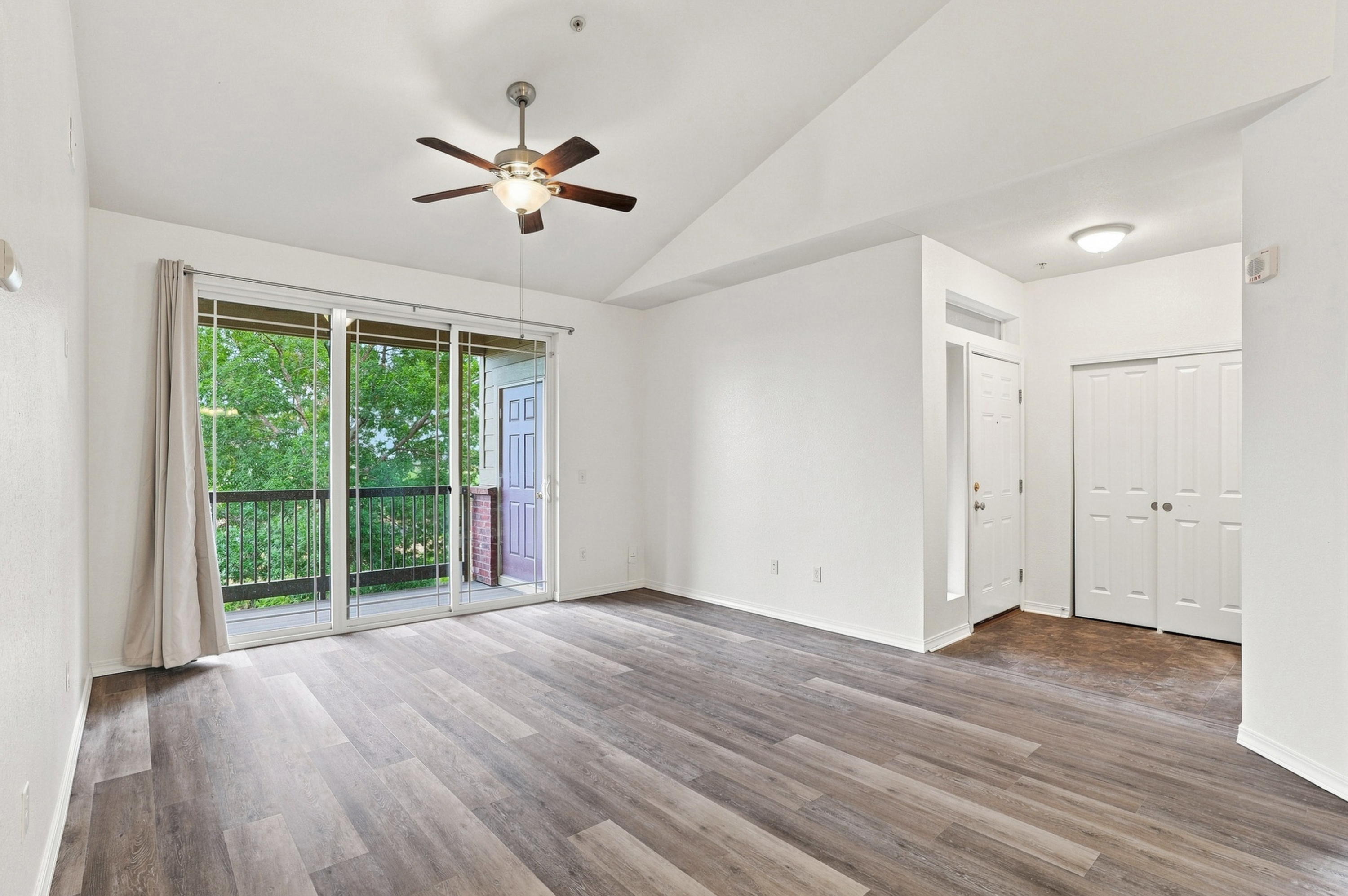 804 Summer Hawk Drive - 5201